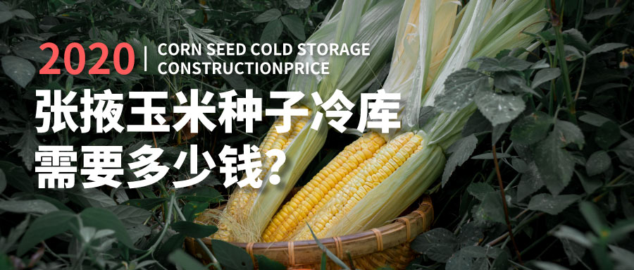 2020年建造張掖玉米種子冷庫(kù)需要多少錢？