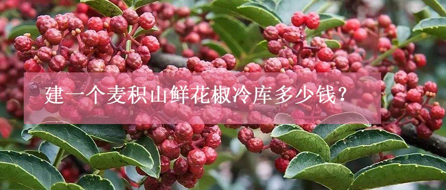 建一個(gè)麥積山鮮花椒冷庫(kù)多少錢(qián)？