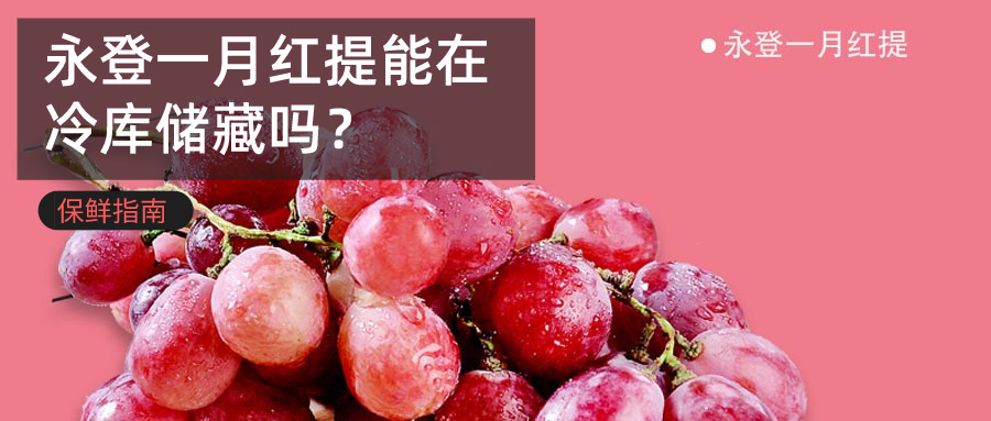 永登一月紅提冷庫儲(chǔ)藏