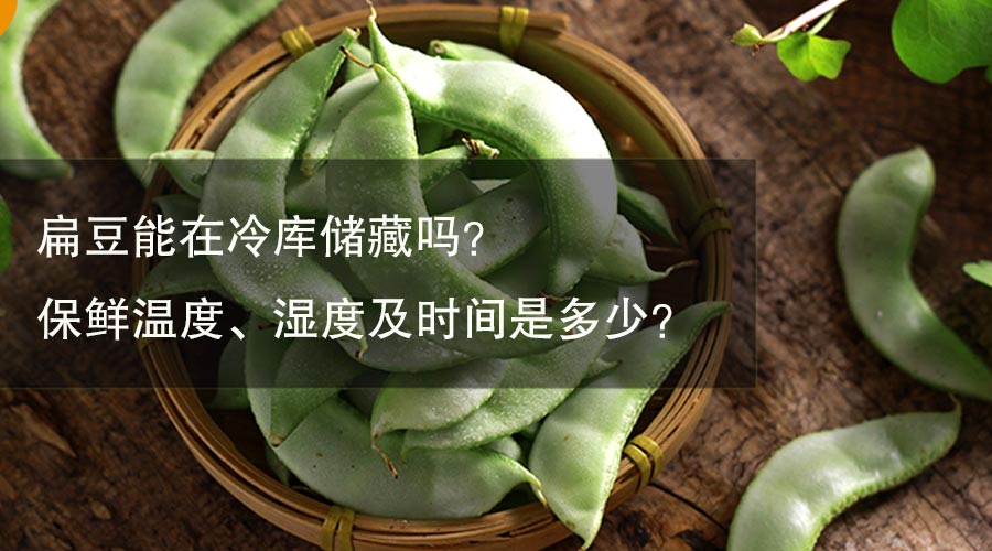 扁豆能在冷庫儲(chǔ)藏嗎？保鮮溫度、濕度及時(shí)間是多少？