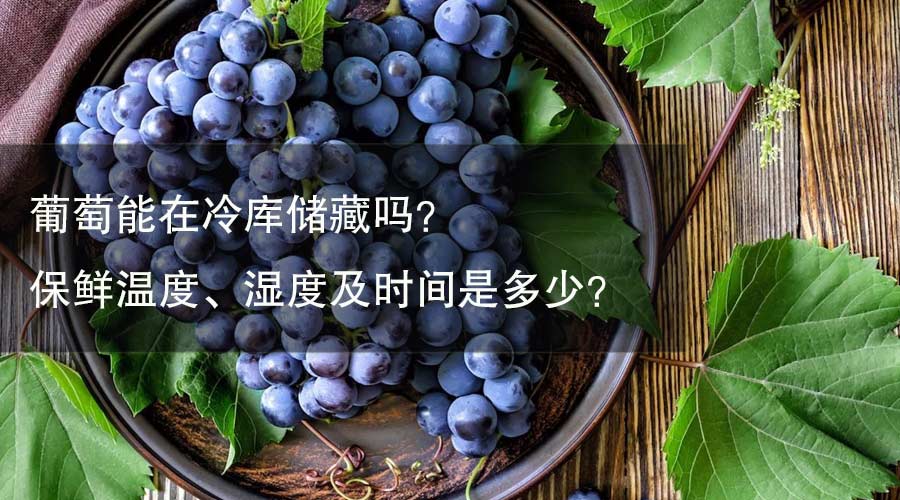 葡萄能在冷庫(kù)儲(chǔ)藏嗎？ 保鮮溫度、濕度及時(shí)間是多少？