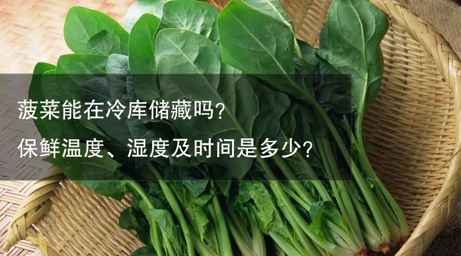 菠菜能在冷庫儲藏嗎？ 保鮮溫度、濕度及時間是多少？