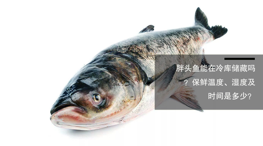 胖頭魚（鳙魚）冷庫儲藏溫度、相對濕度及貯藏時間介紹