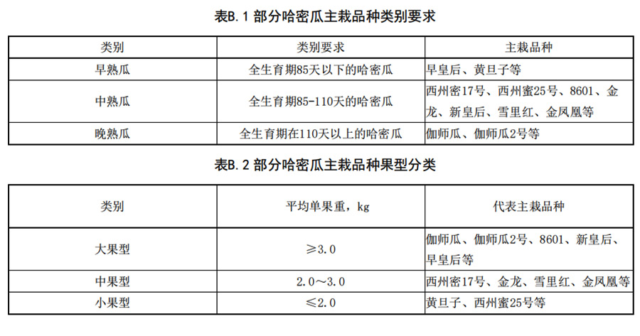 哈密瓜早、中、熟瓜和大中型瓜的分類要求