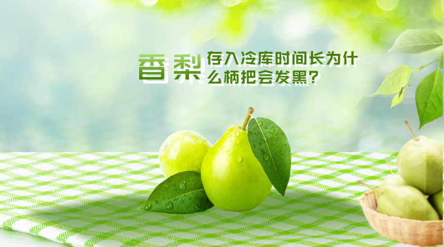 香梨存入冷庫(kù)時(shí)間長(zhǎng)為什么柄把會(huì)發(fā)黑？