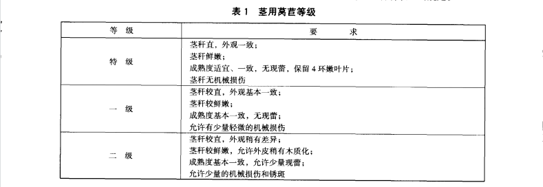 萵苣放冷庫前等級標(biāo)準(zhǔn)