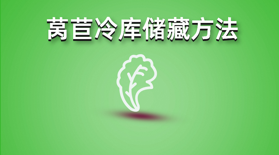 萵苣冷庫儲藏方法介紹