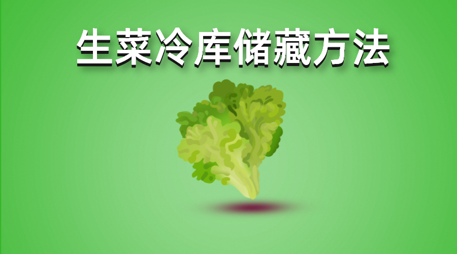 生菜冷庫儲藏方法介紹