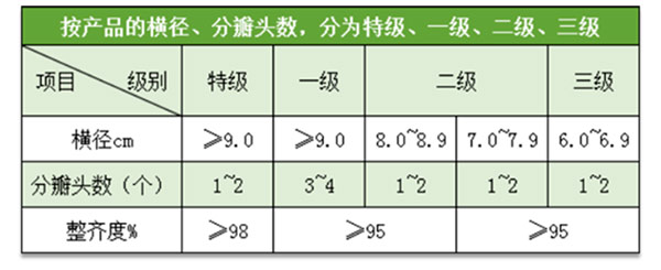 蘭州百合入冷庫前分級質(zhì)量標(biāo)準(zhǔn)參考