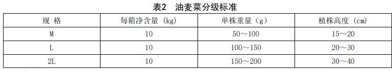 油麥菜分級標(biāo)準(zhǔn)