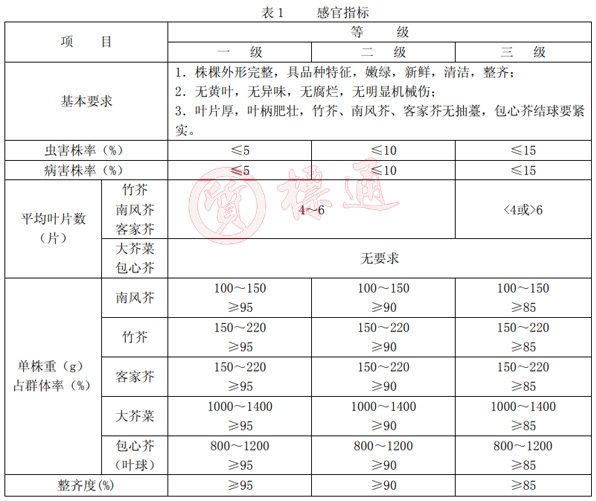 芥菜分級標準.jpg