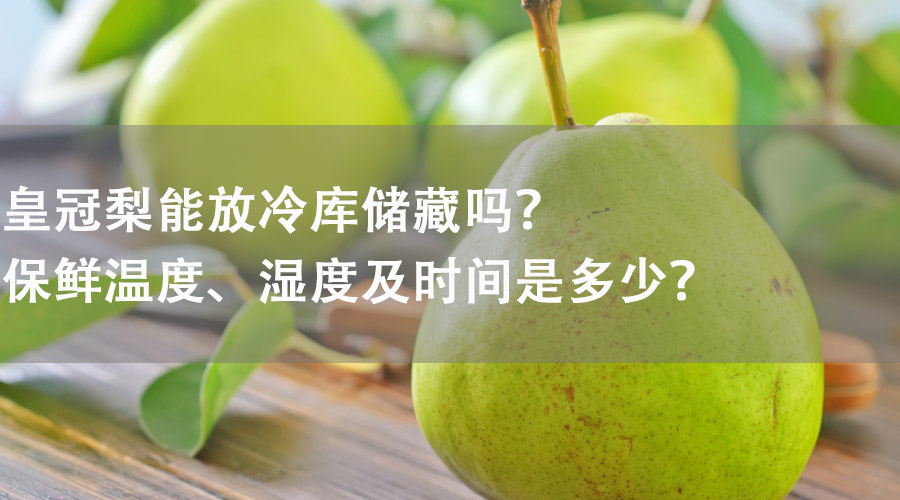 皇冠梨能在冷庫儲(chǔ)藏嗎？保鮮溫度、濕度及時(shí)間是多少？