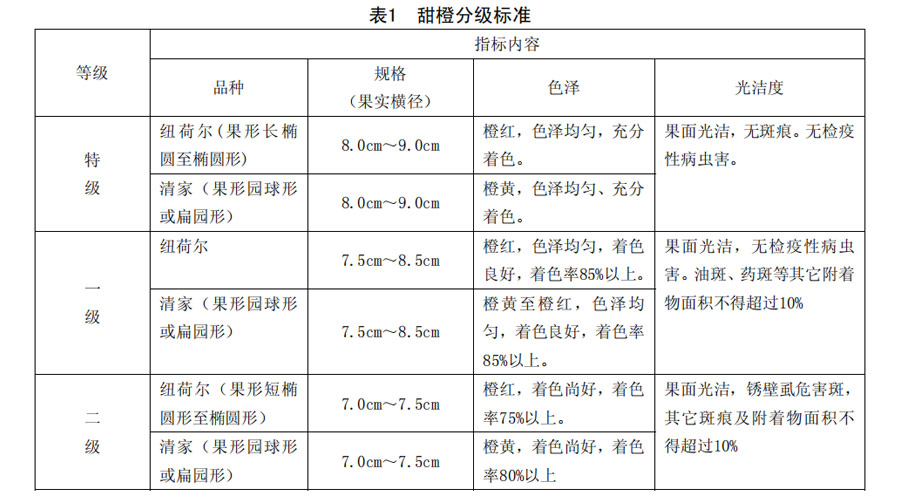 橙子分級標(biāo)準(zhǔn)