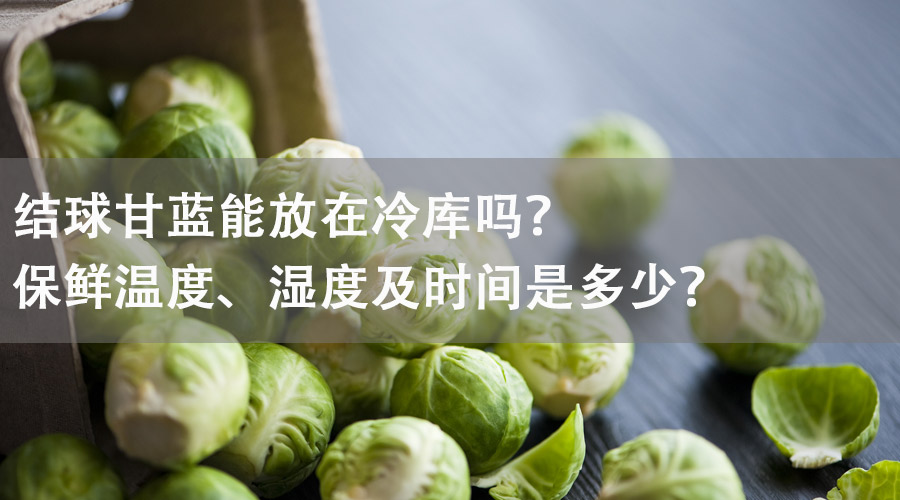 結球甘藍能放在冷庫嗎？保鮮溫度、濕度及時間是多少？