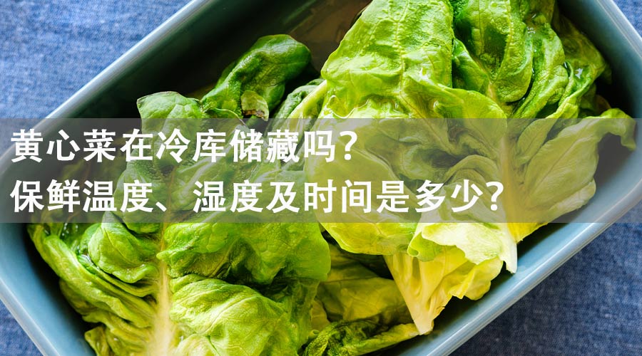 黃心菜能在冷庫儲(chǔ)藏嗎？保鮮溫度、濕度及時(shí)間是多少？