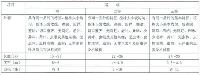 豆瓣菜分級(jí)標(biāo)準(zhǔn).jpg