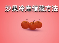 沙果（花紅）冷庫(kù)存儲(chǔ)方法詳解，保鮮時(shí)間6個(gè)月！