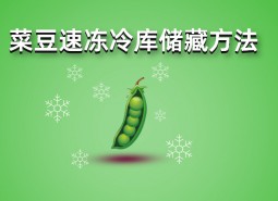 四季豆（菜豆）速凍冷庫儲(chǔ)藏方法詳解，保鮮時(shí)間1年不變質(zhì)！