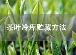 茶葉貯藏方法是什么？茶葉冷庫(kù)儲(chǔ)存介紹！