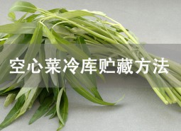 空心菜冷庫(kù)貯藏方法詳解！這樣貯藏可保鮮1個(gè)月！