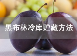 黑布林貯藏方法介紹！冷庫(kù)保鮮3個(gè)月不壞